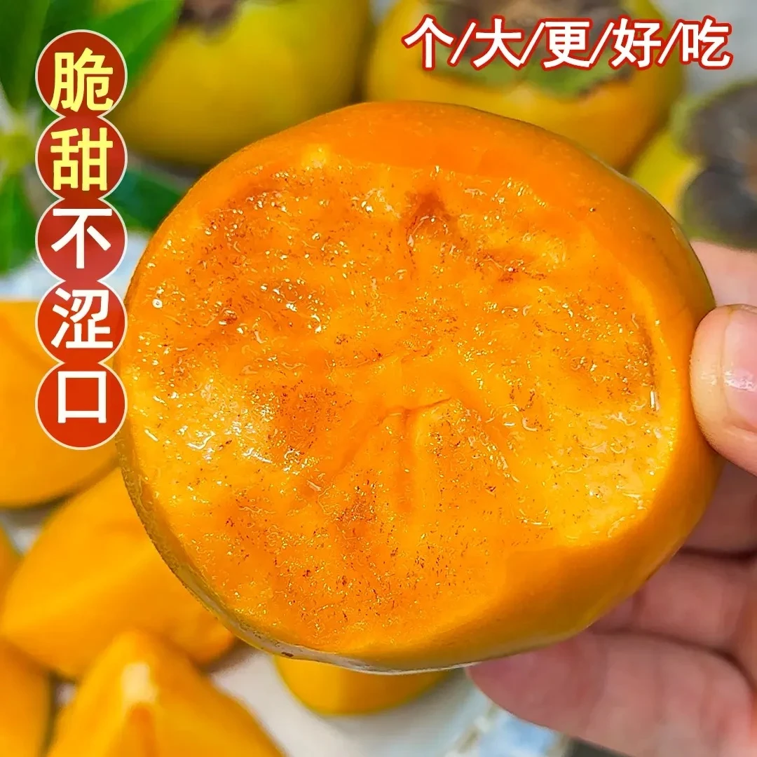 山西阳丰冰糖心巧克力脆柿清甜可口脆甜不涩新鲜水果