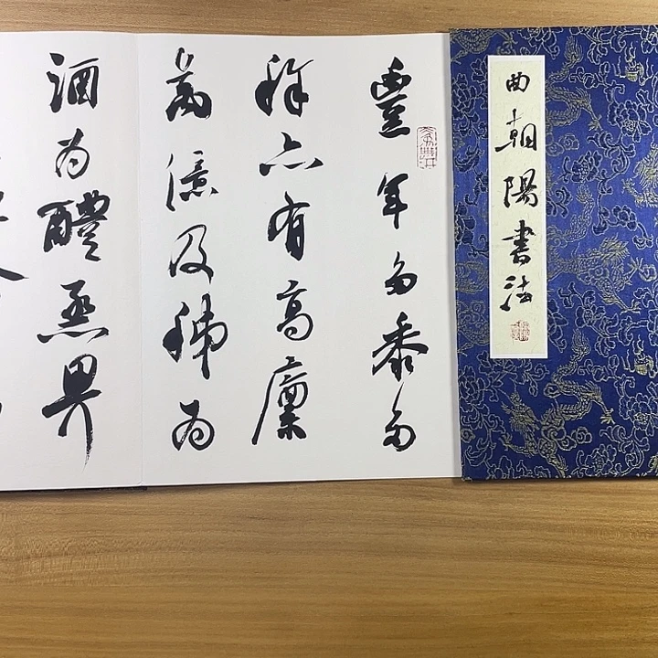 书法中书协会员作品