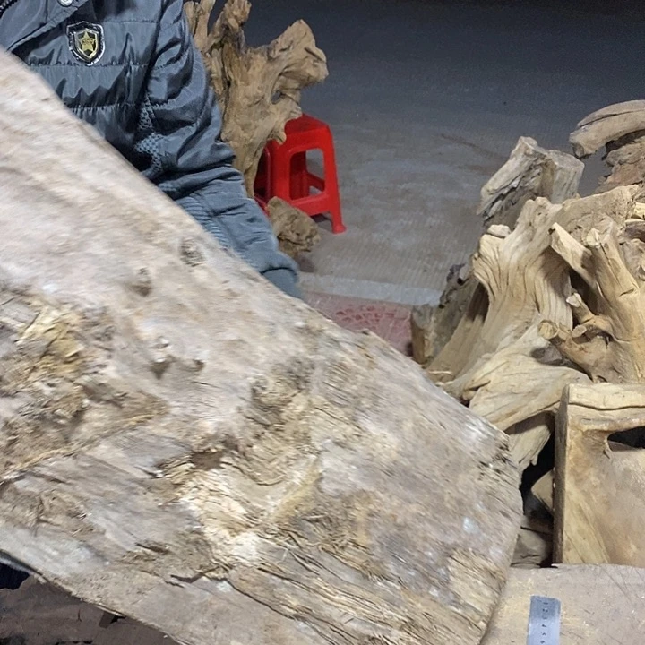 乌木类?****葱金丝楠木小叶