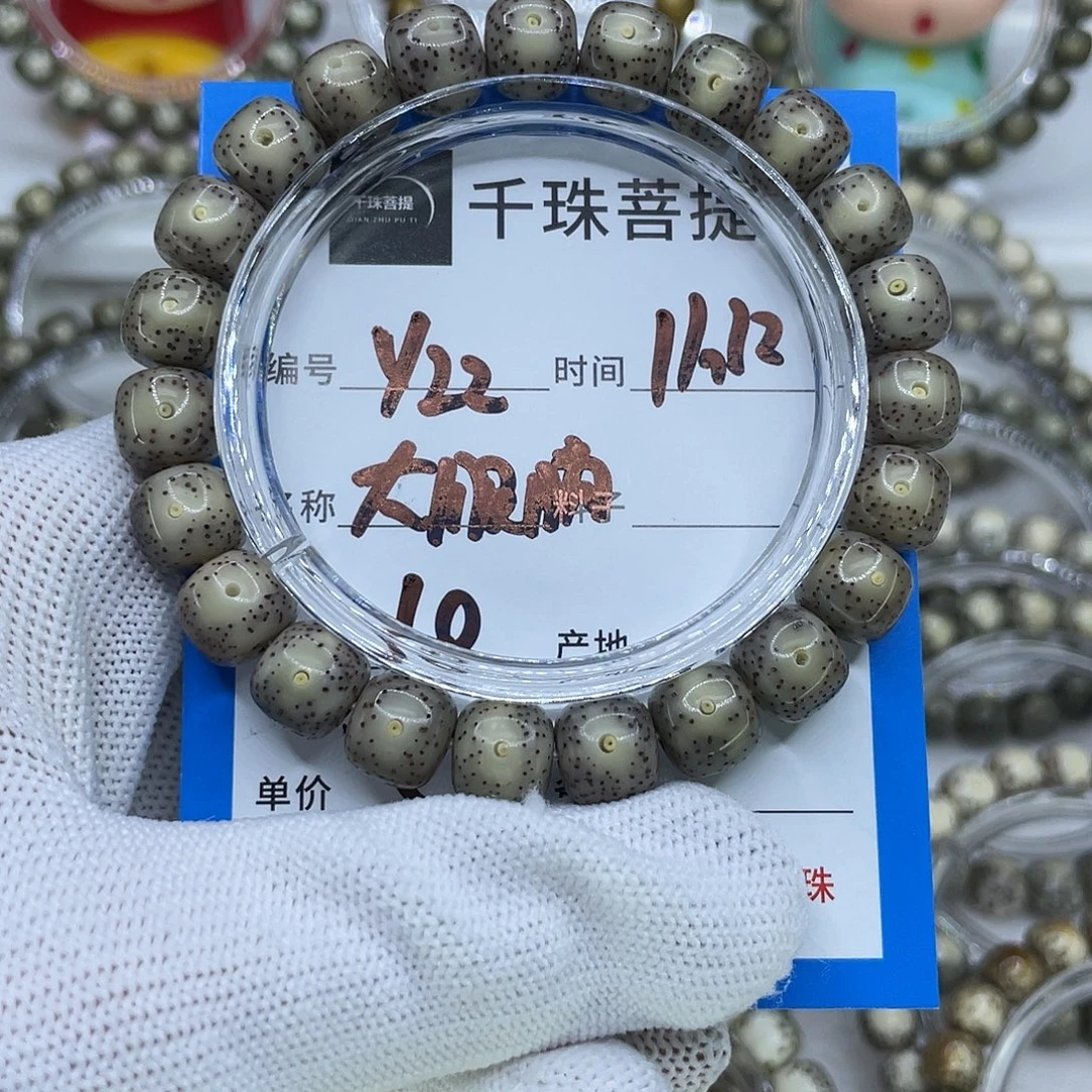 菩提籽类Y22大眼睛