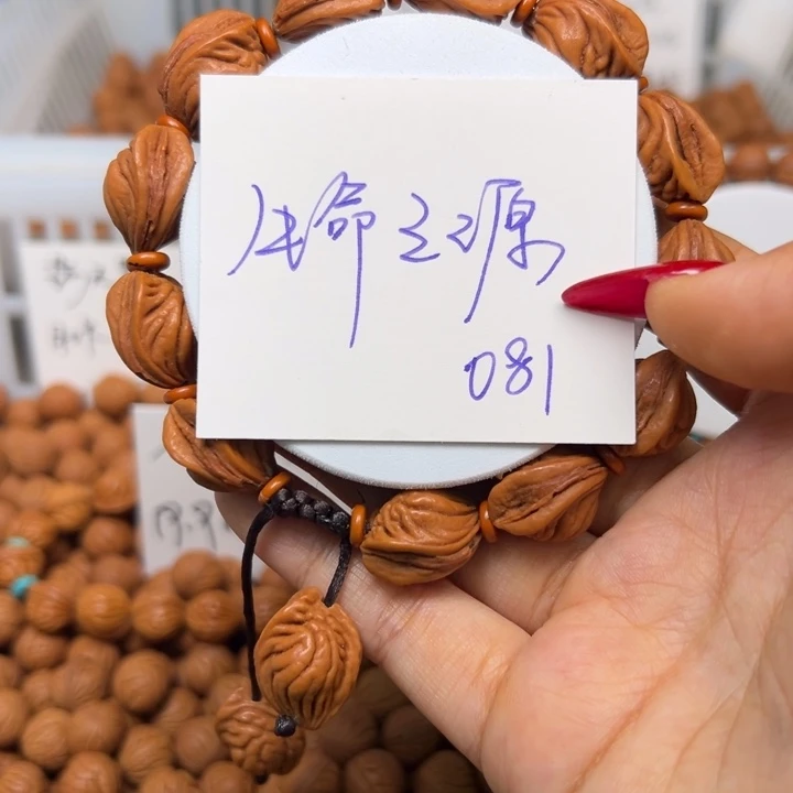 木质类秦岭龙纹桃核生命之源