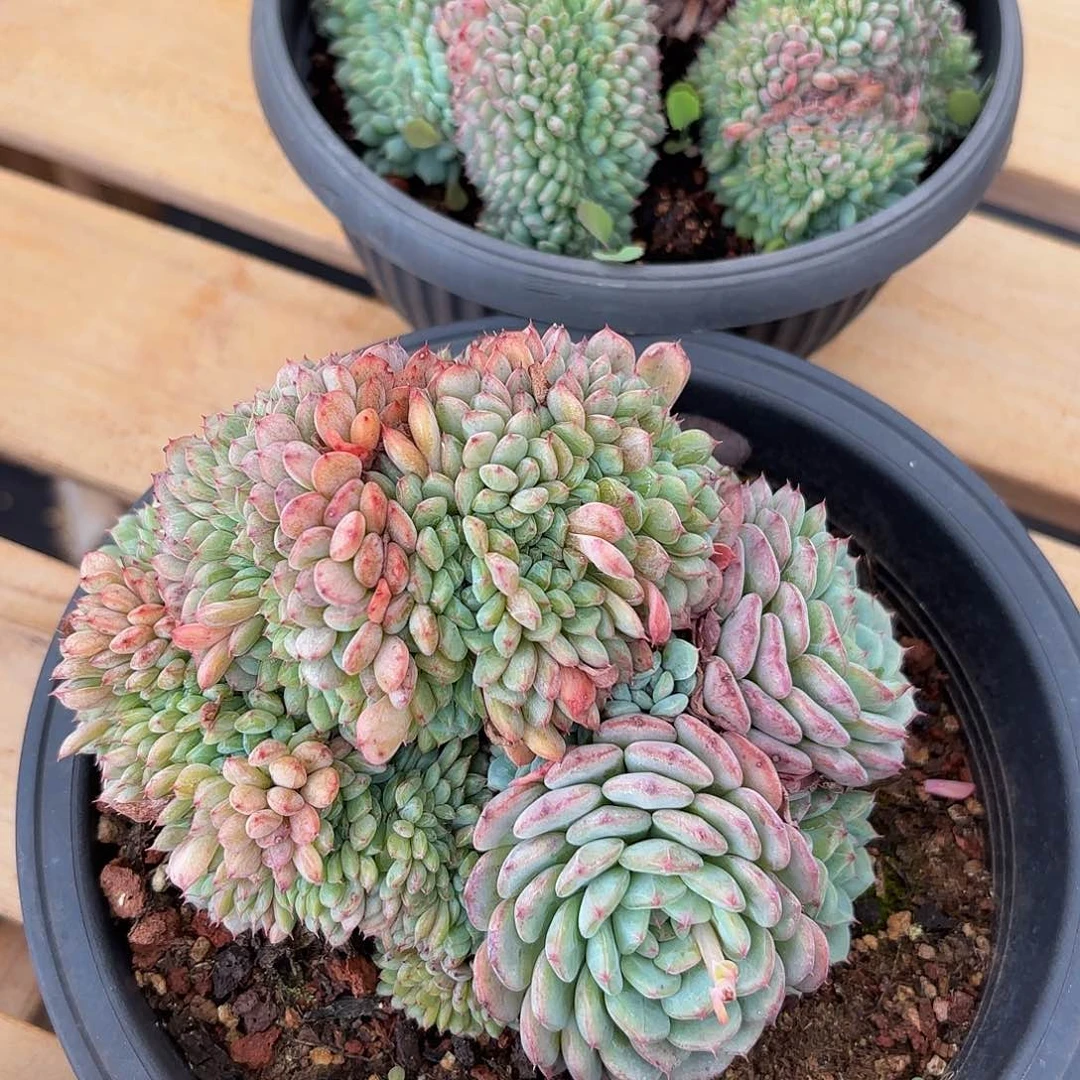 末***末哈哈哈哈哈哈哈哈