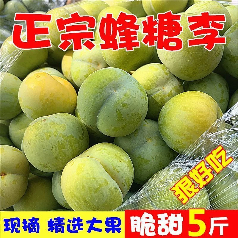 正宗贵州镇宁蜂糖李新鲜应季水果