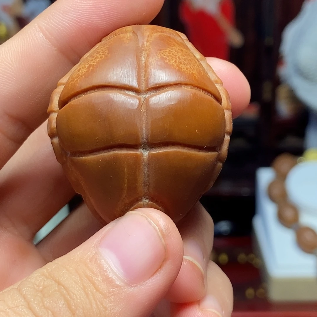 吊坠橄榄核jjjjjjjjhhhhhhbhhhh