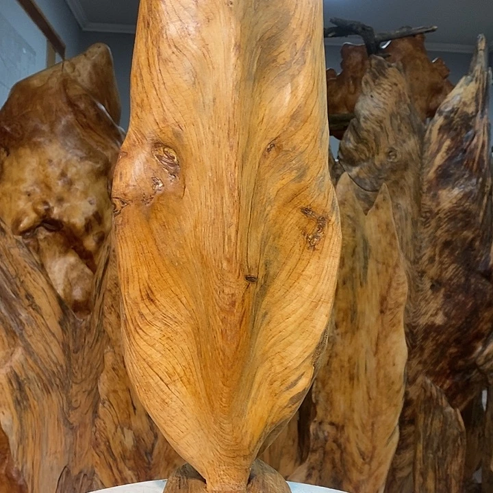 业****镜我们都是你的粉丝21