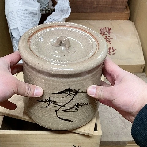 紫砂哈哈哈哈哈哈哈哈哈