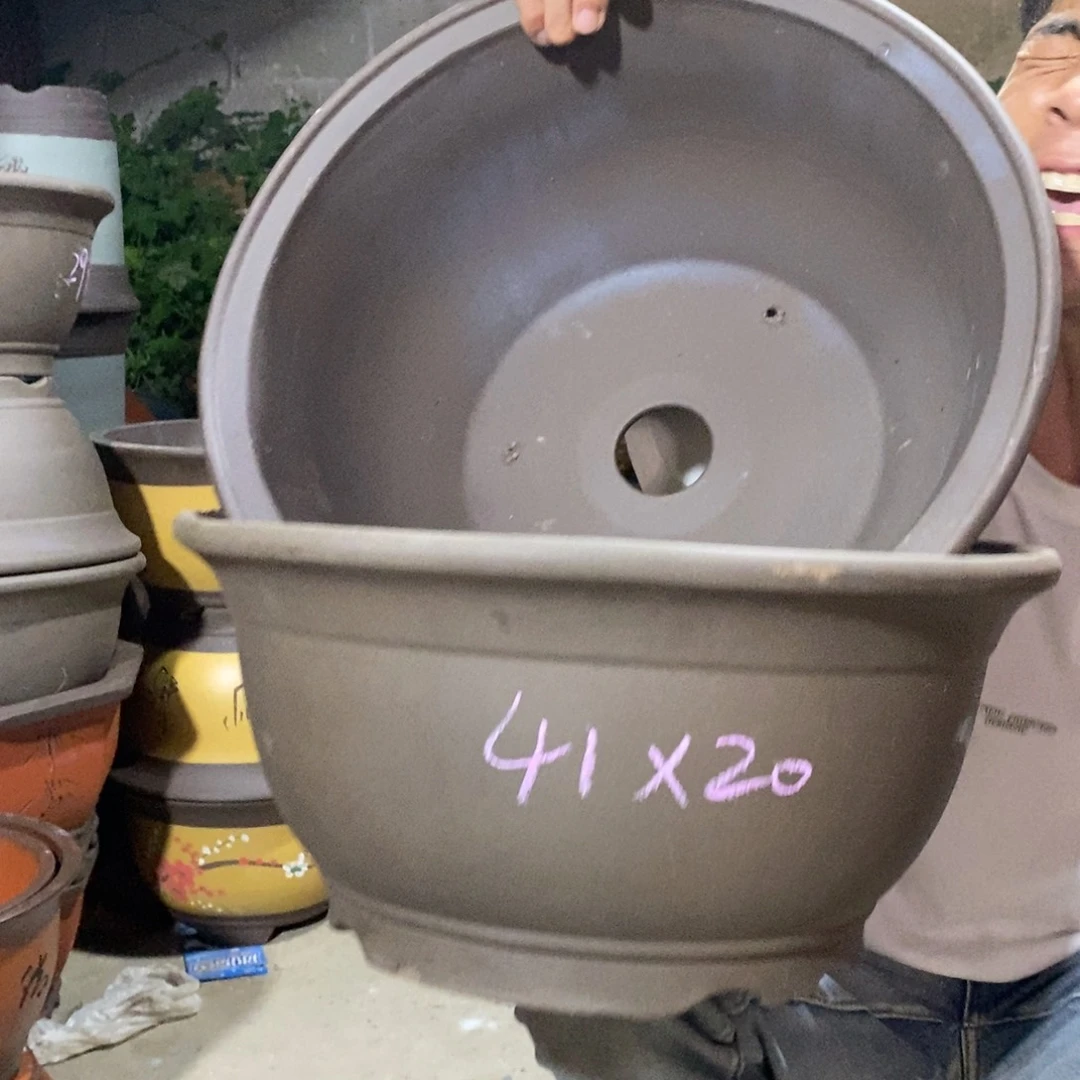 紫砂紫砂紫砂紫砂紫砂