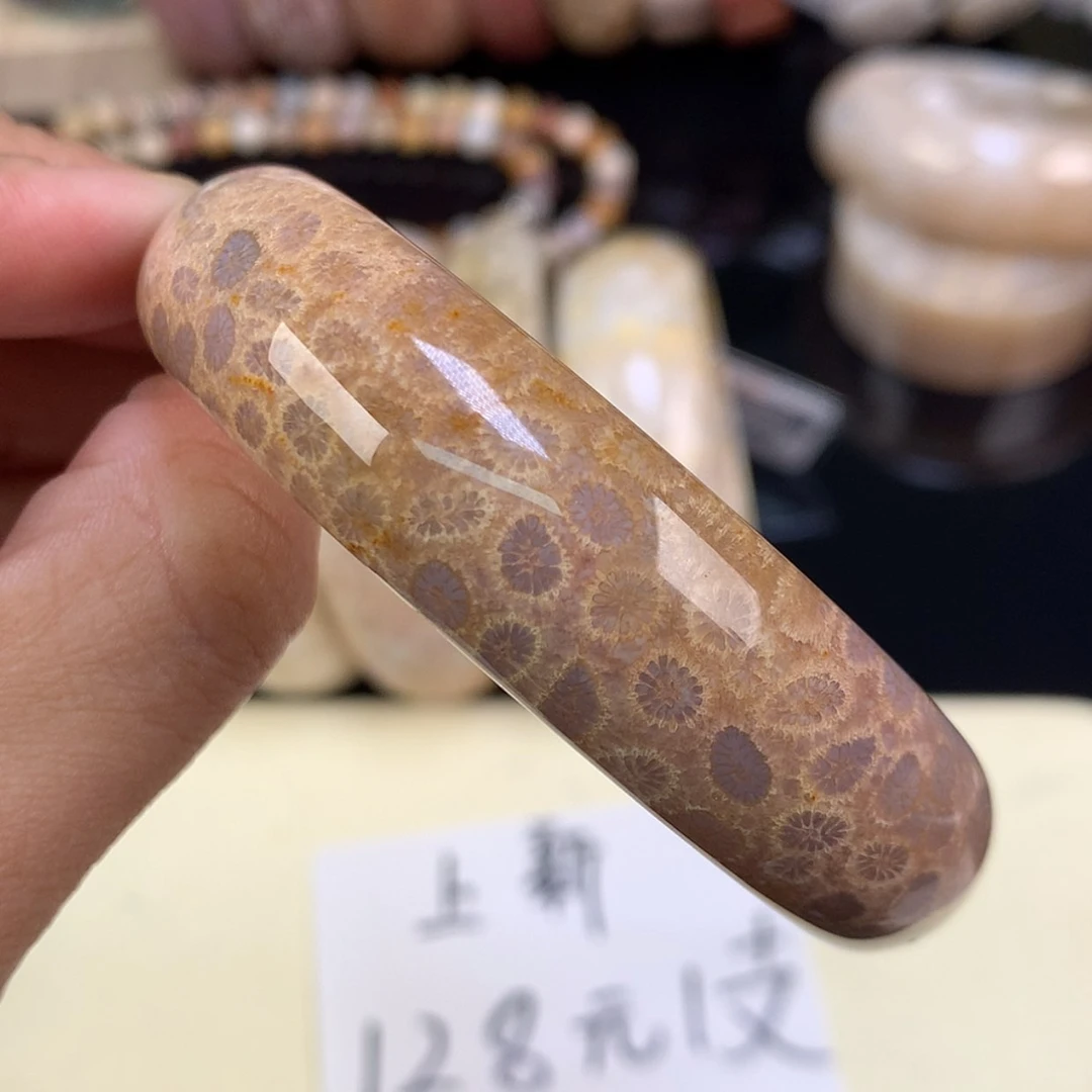 【闪购商品】颈饰未镶嵌硅化珊瑚（珊瑚玉）57号上新55.3圈