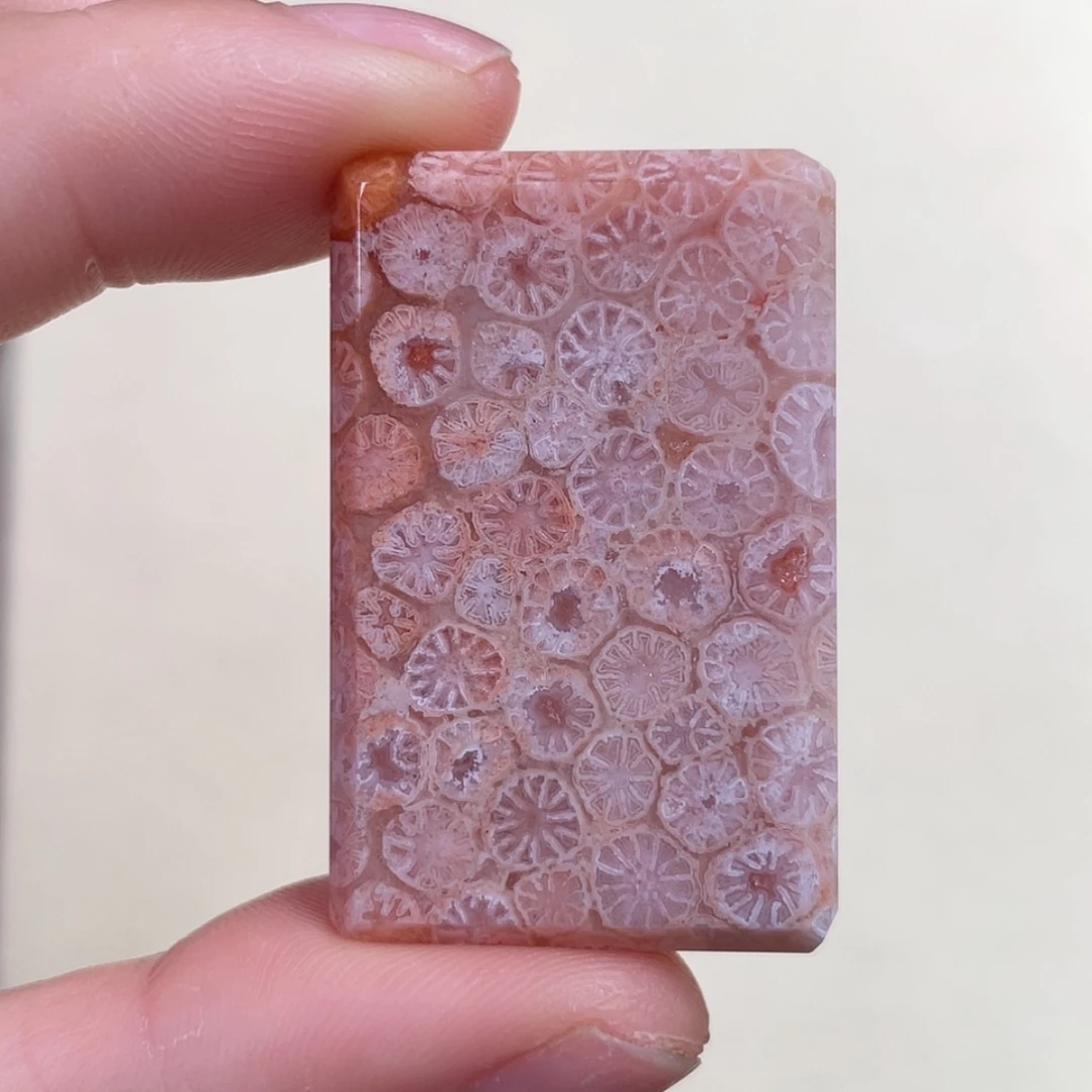 【闪购商品】未镶嵌吊坠(赠链)硅化玉