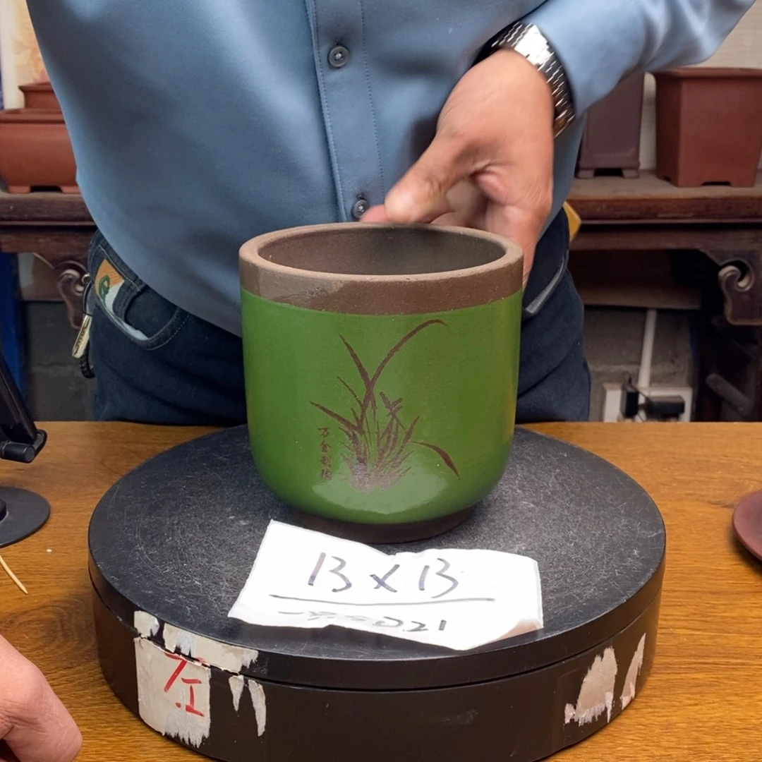 红陶货号一只SD21