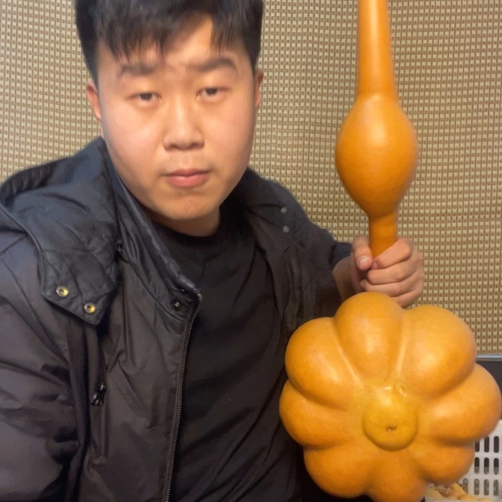 医***堂大叶紫檀（黑酸枝木类）