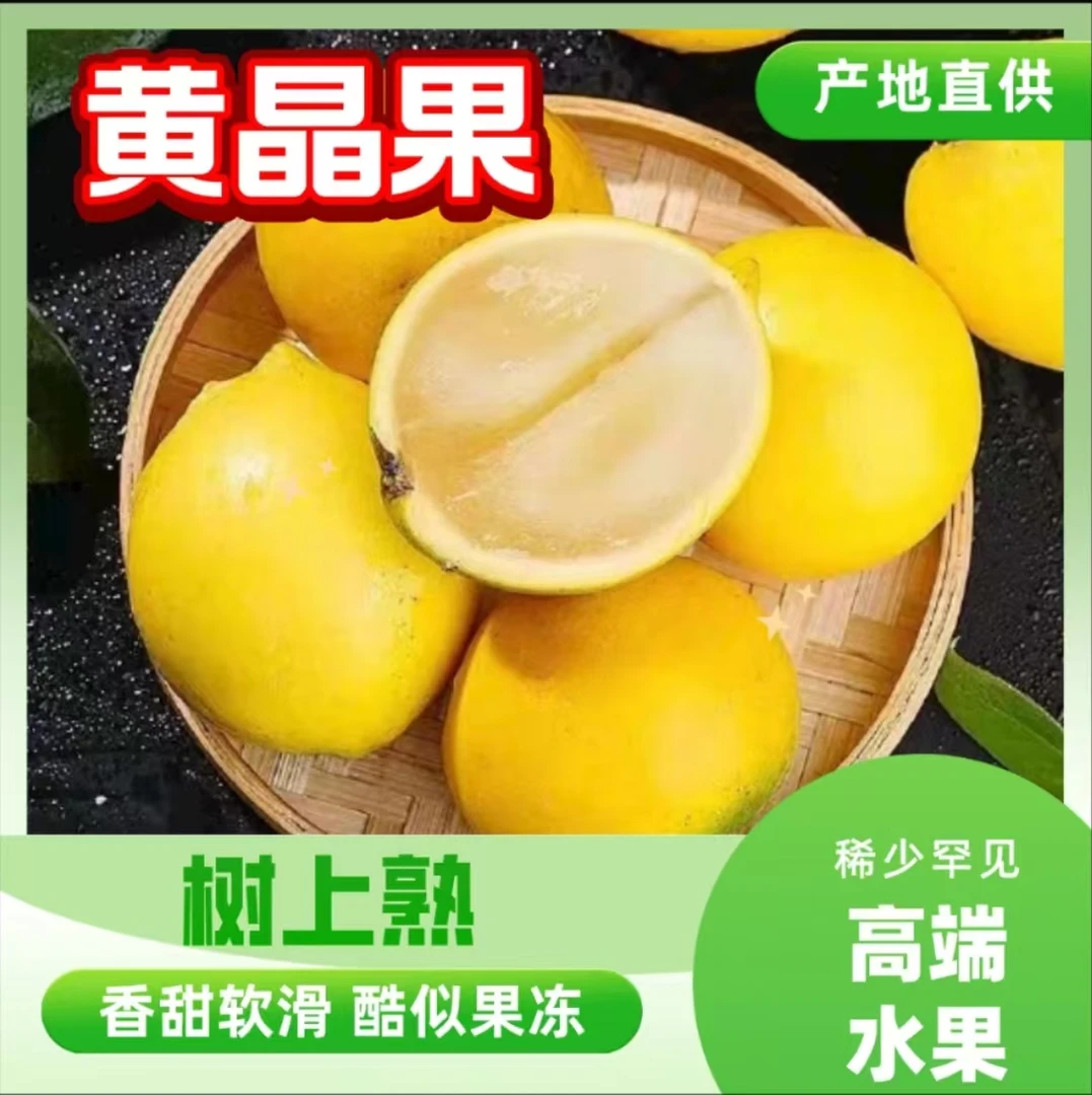 【福利】云南冬蜜黄晶果新鲜纯甜稀有水果牛奶果树上冰淇淋植物胶原