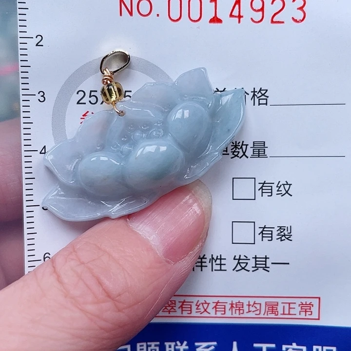 翡翠未镶嵌吊坠(赠链)