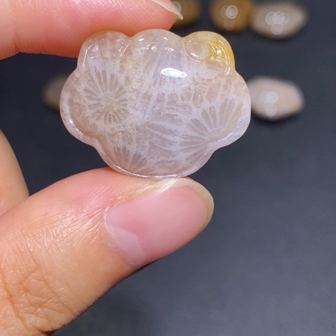【闪购商品】未镶嵌珊瑚玉硅化玉