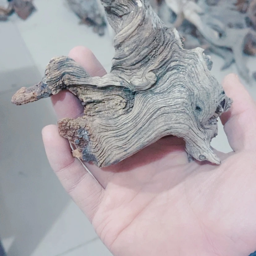 【闪购商品】香榧木傲***狼太行天下第一