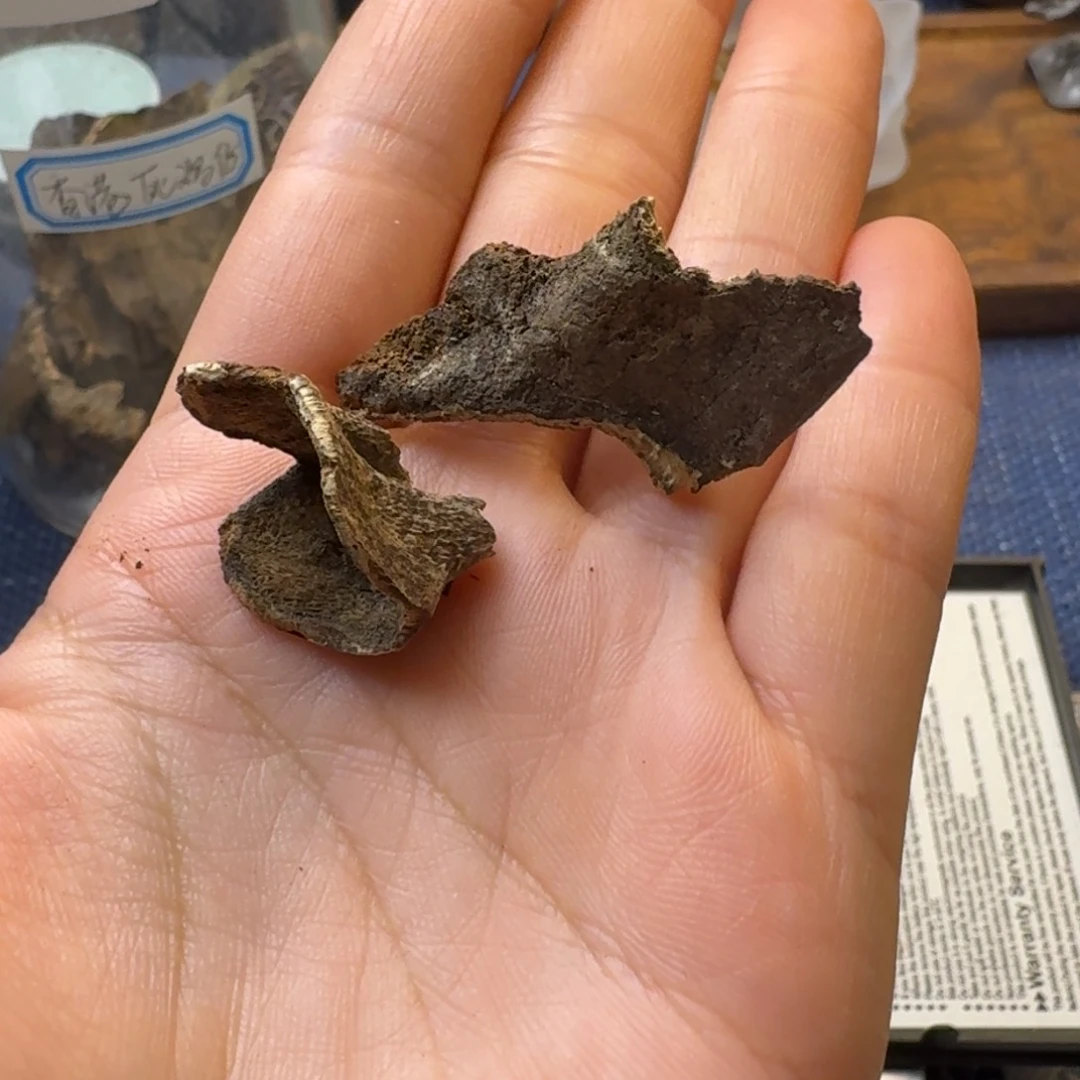 树脂制品@**哥深圳梧桐山壳仔1.25