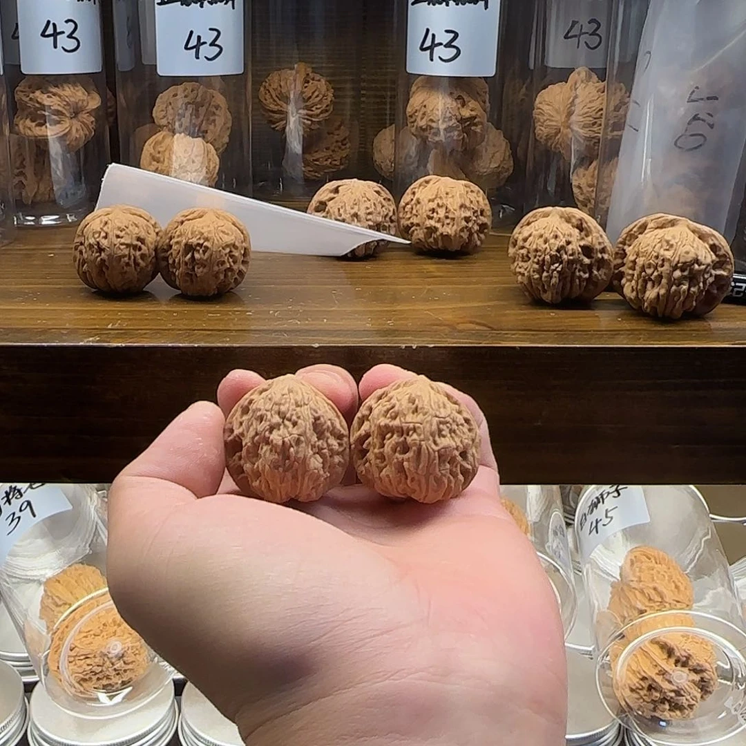 *****凤凰胆全品无修福利