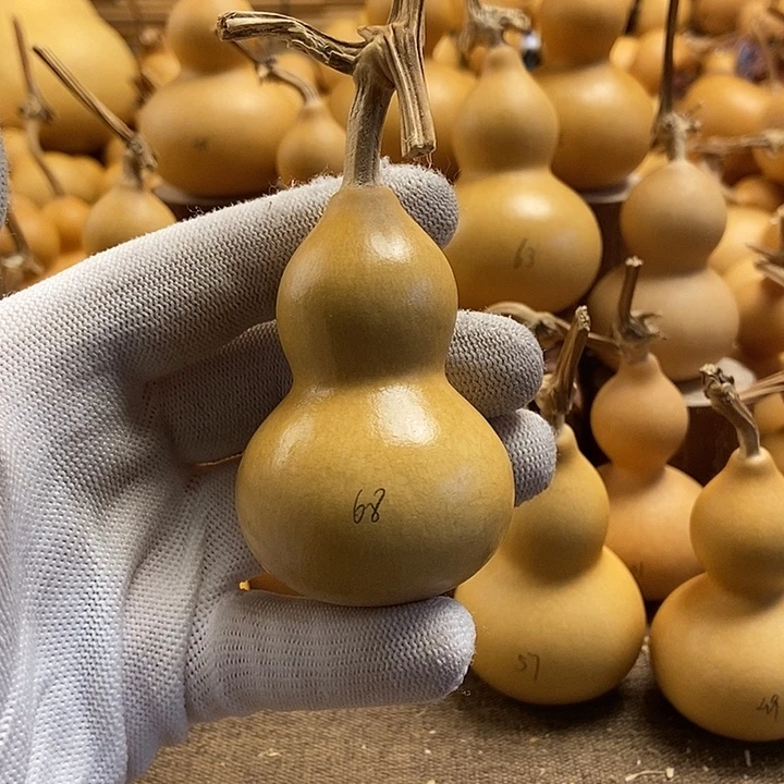 文玩葫芦 完美主义者 慎拍68