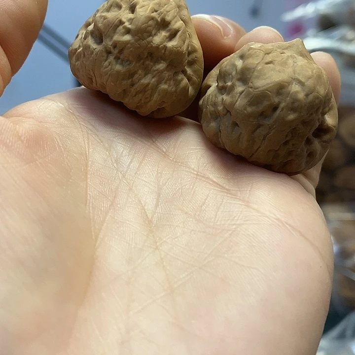 把件文玩核桃34三角古蝉
