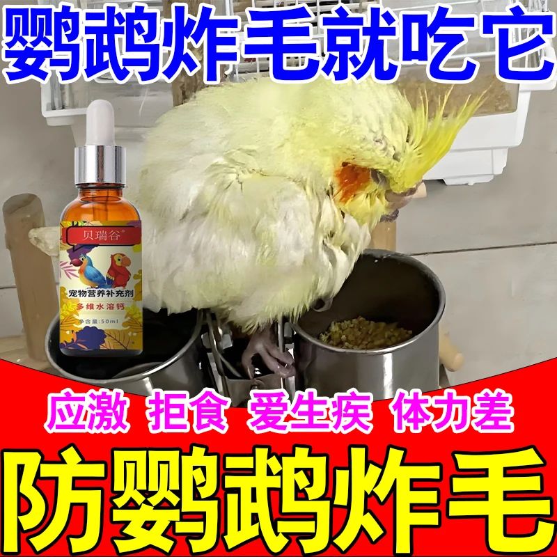 鹦鹉炸毛感冒鸟疫歪头炸毛没精神腹泻拉稀绿便鹦鹉专用多维水溶钙