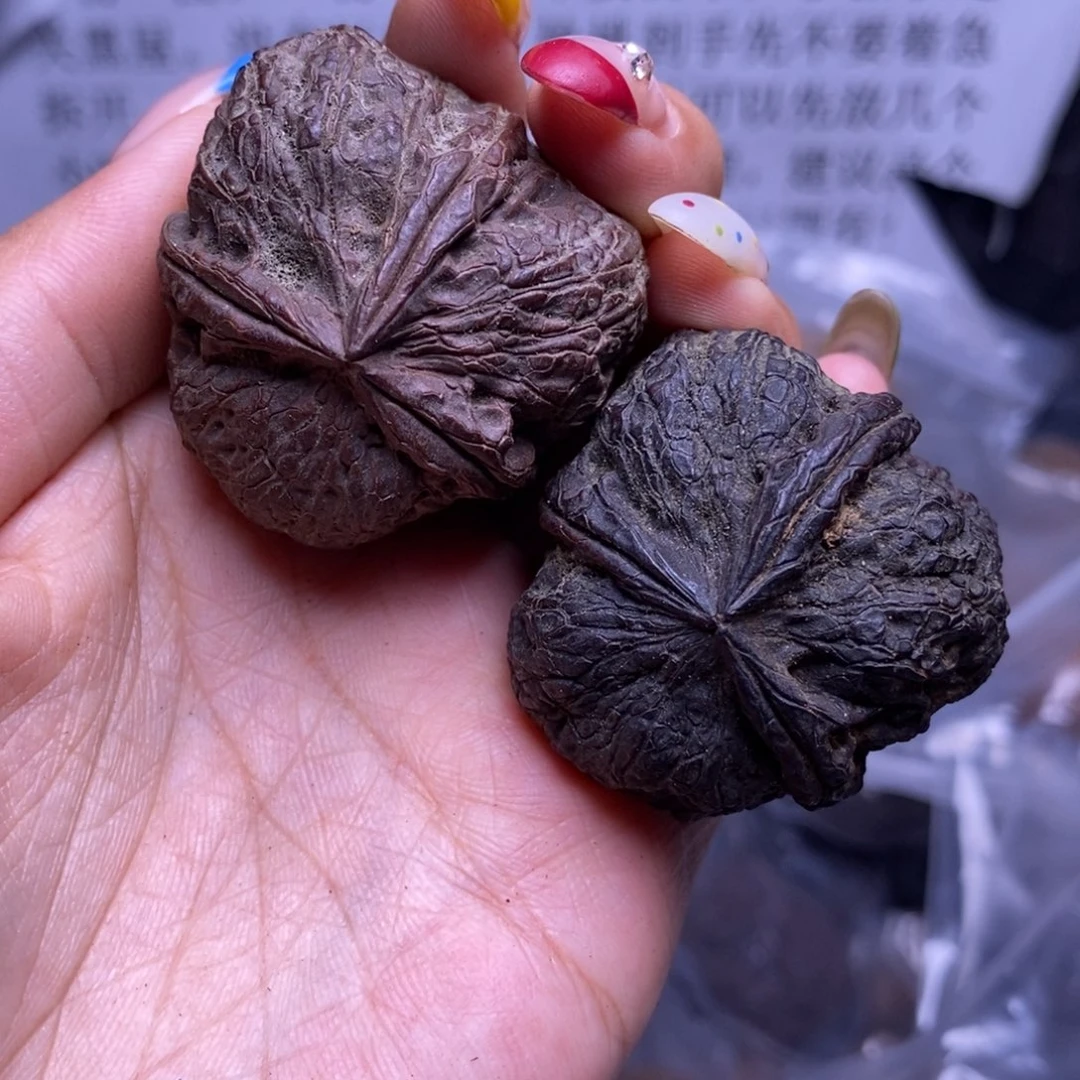 文玩核桃把件云南野生铁核桃51号41mm