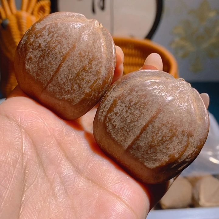 野生三花大橄榄核