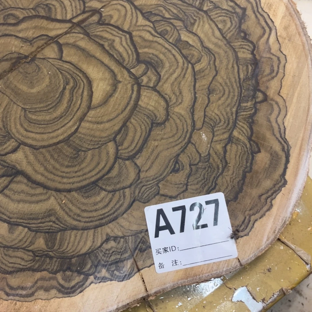 墨西哥黑柿木端头