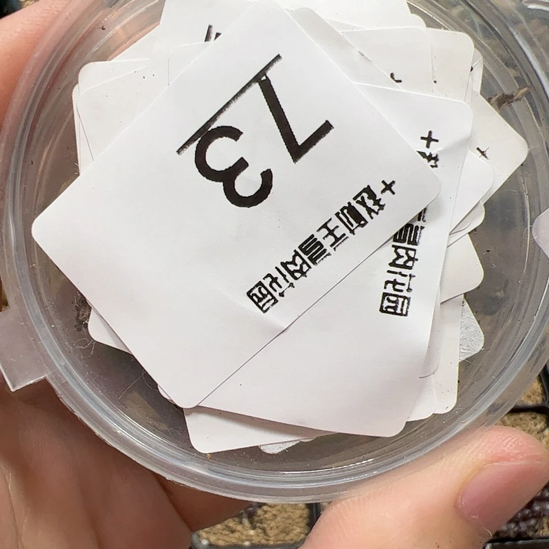 【闪购商品】73 开播福利