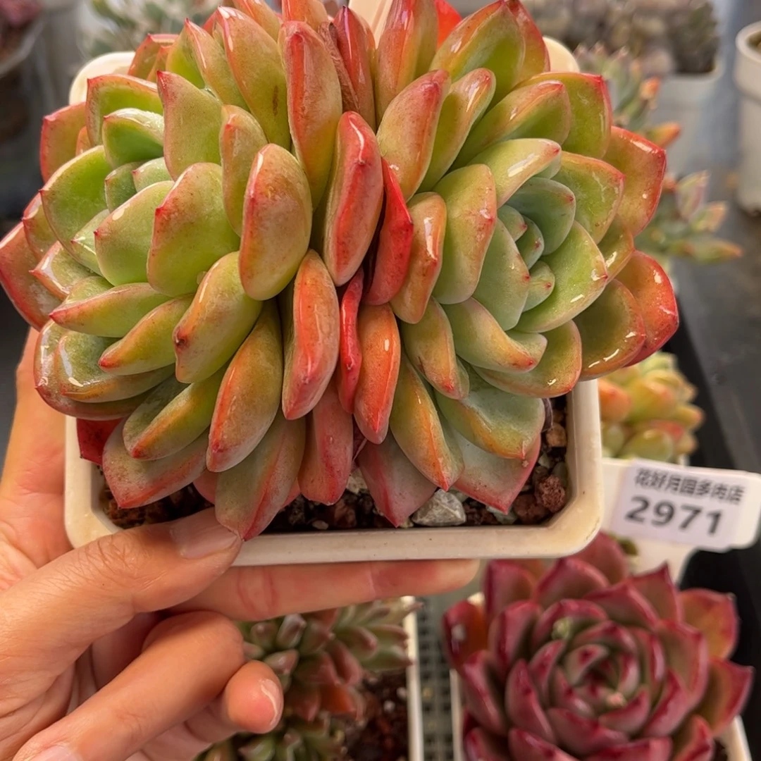 2974 满30包邮天冷地区必拍保温箱