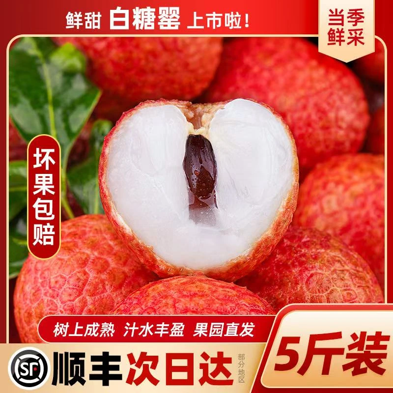 【白糖罂】新鲜白糖罂荔枝应季孕妇水果包邮老树果现摘冷链五斤荔枝同城送