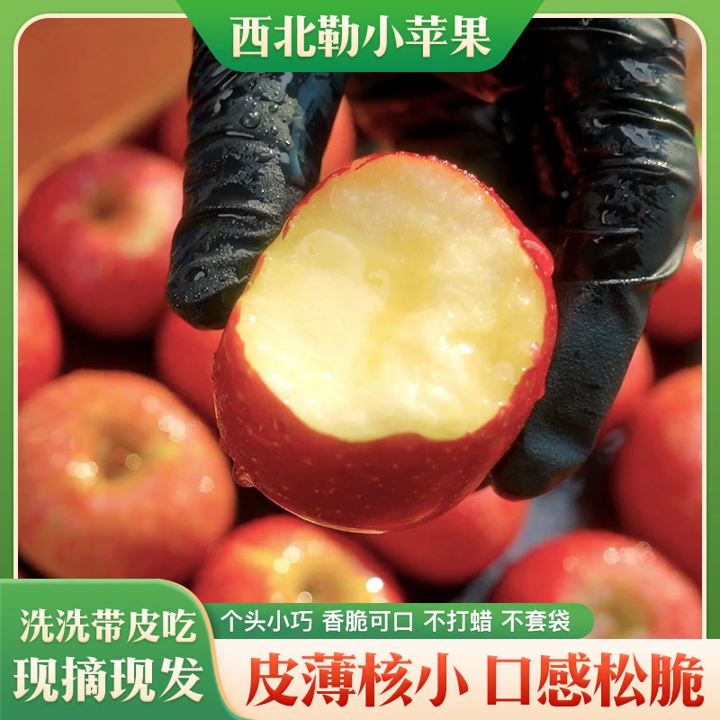 云南西北勒小苹果新鲜小苹果脆甜小苹果丑苹果现摘当季水果3斤起