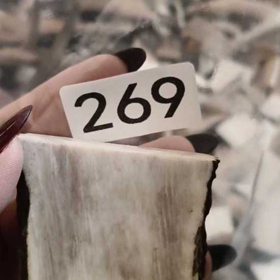 嘿***木鹿角鹿角鹿角鹿角鹿角鹿角