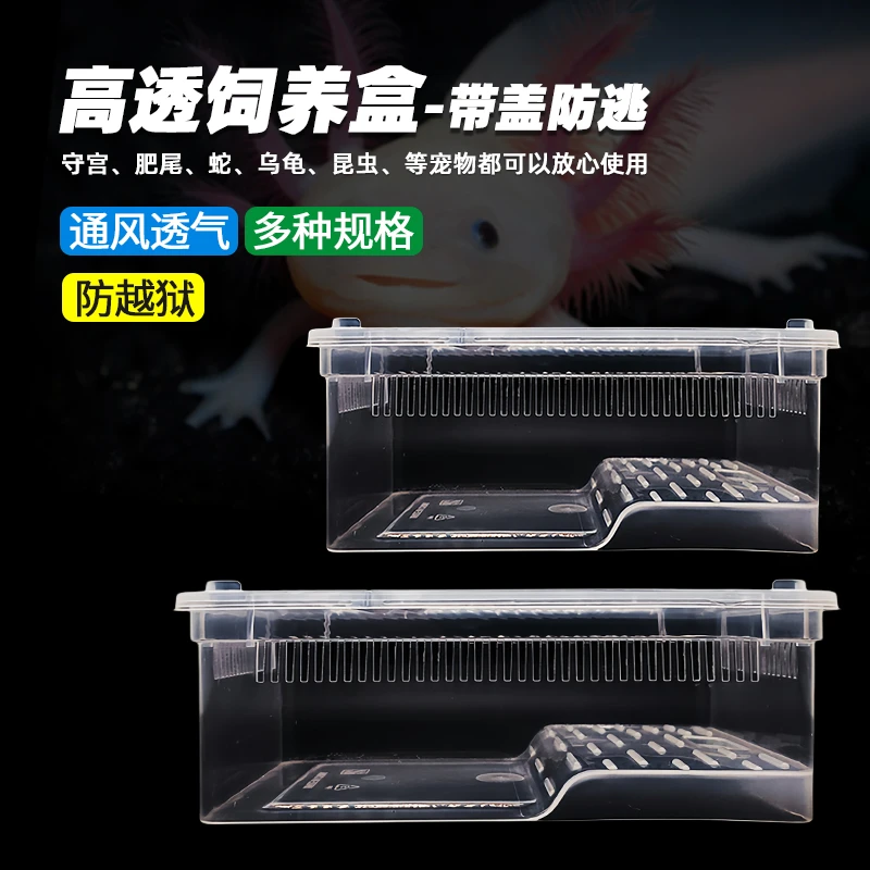 水陆两栖乌龟缸角蛙带盖防逃饲养盒龟缸蝾螈螃蟹生态造景饲养箱