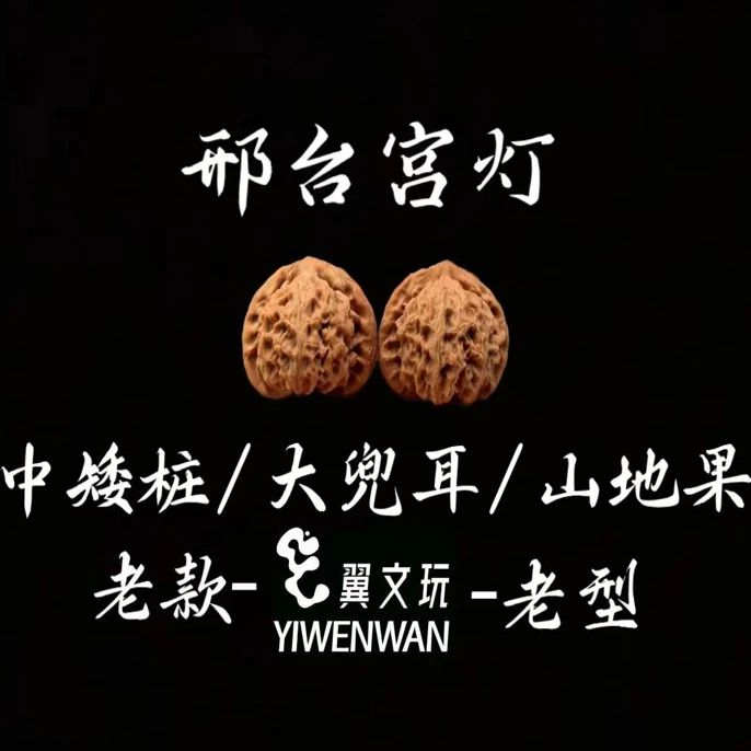 【翼YI】宫灯狮子头·邢台小帽邢台山地果（深清）