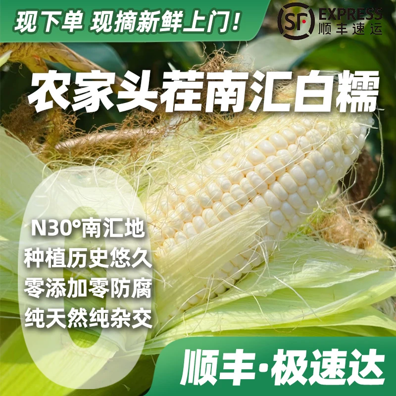 【下单·顺丰速鲜】南汇头茬本地新鲜带壳白糯玉米直播带货1万➕好评