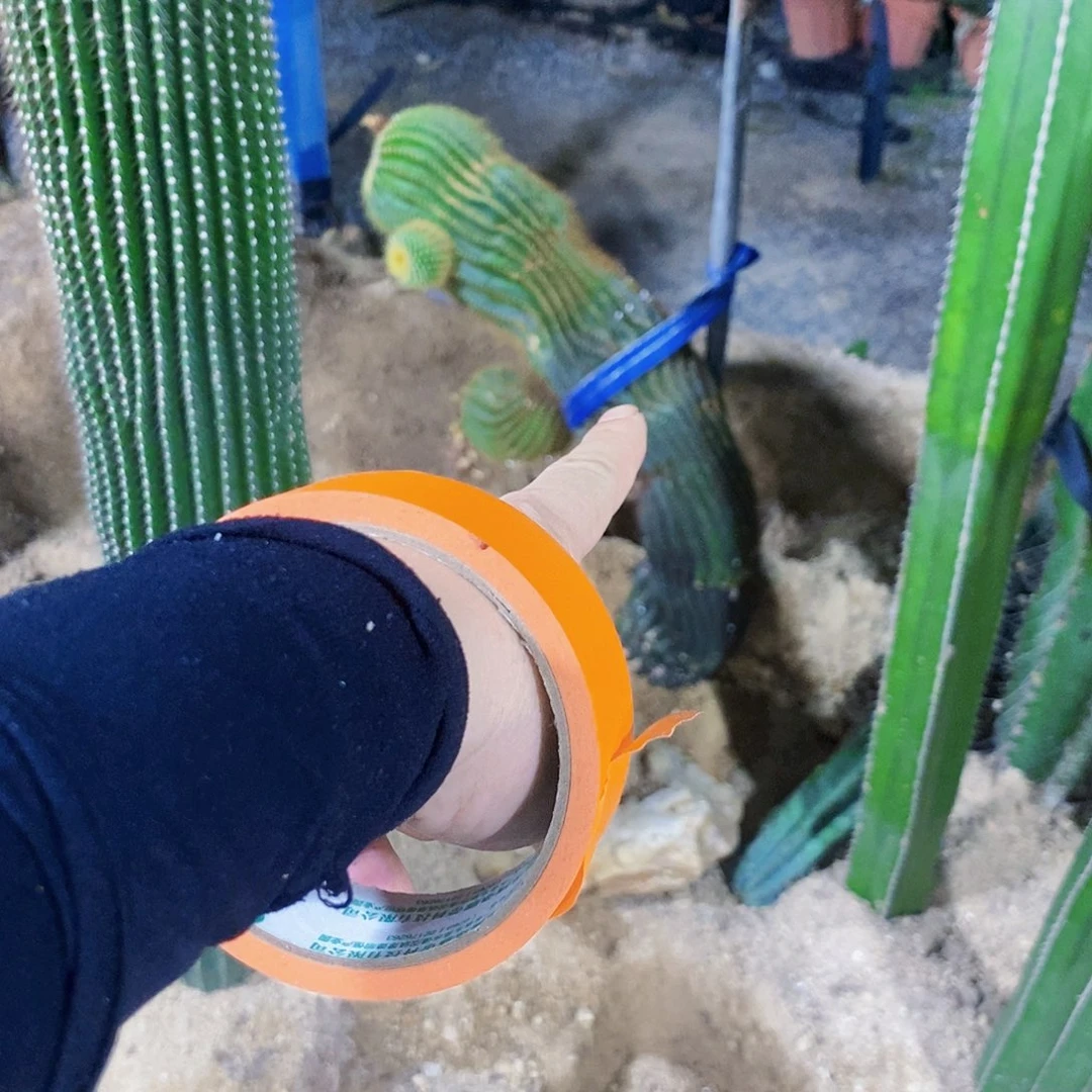 无花朵运****文00000000000000000000