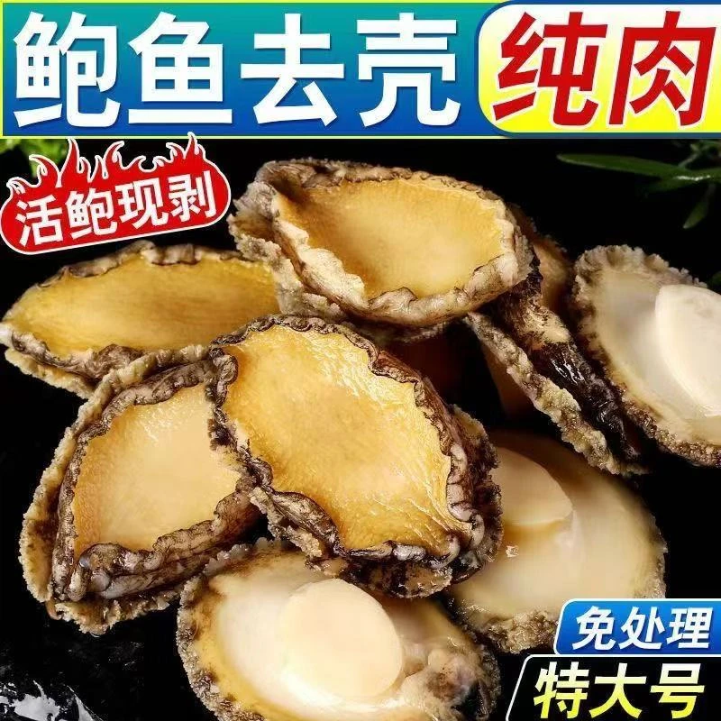 【大号鲍鱼肉】深海鲍鱼去壳纯肉 鲍鱼肉 5-6厘米 活鲍处理 新鲜发