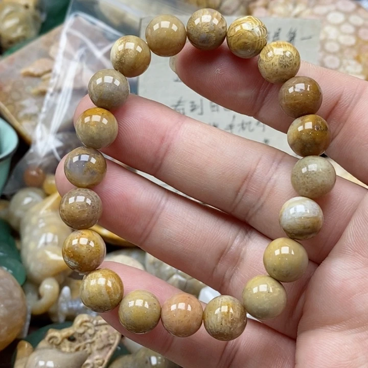 硅化珊瑚（珊瑚玉）未镶嵌颈饰