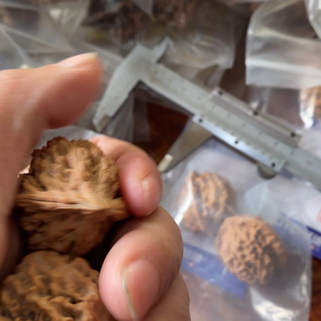 秦岭南侧和东北北部分别