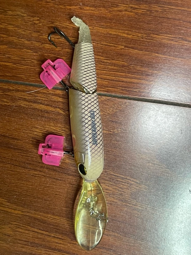 重生之我在路亚卖鱼饵