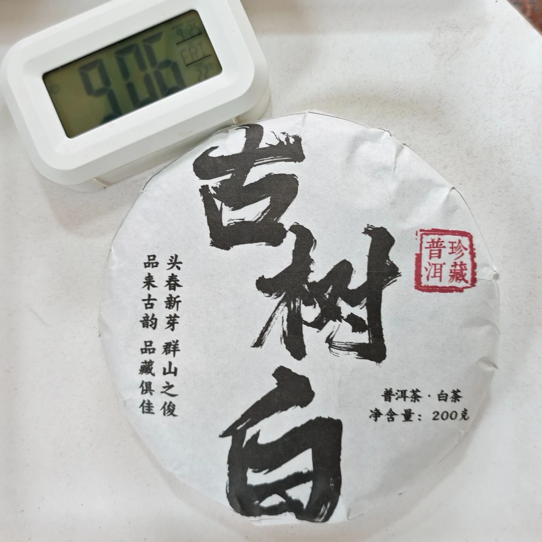 2020年 曼西良 古树春茶 白茶茶饼200g 9月25日 【016】