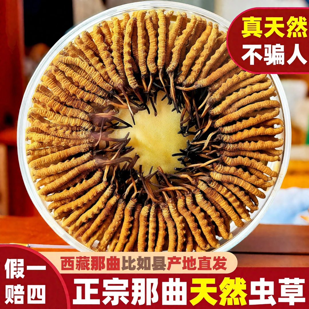 正品西藏那曲头茬冬虫夏草天然头期正宗虫草高品质那曲虫草礼盒装