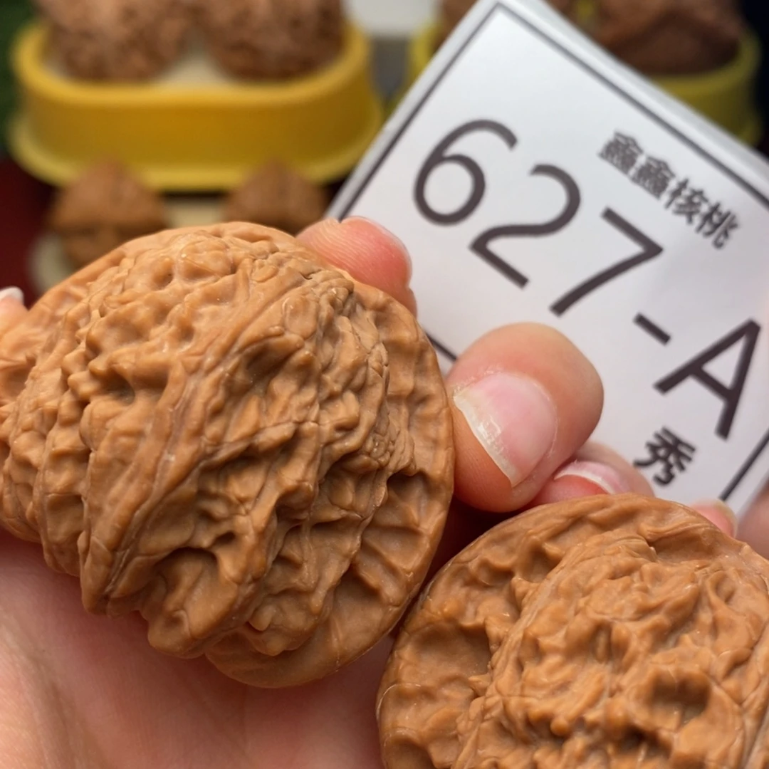 文玩核桃把件白狮子42……