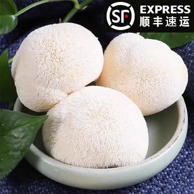 头茬新鲜猴头菇顺丰500g现采现发蔬菜煲汤必备原产地健康佳品