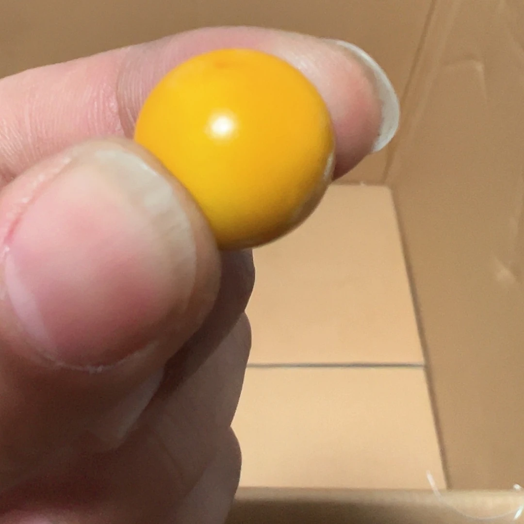 碟喵**汪瓷器木器工艺摆件