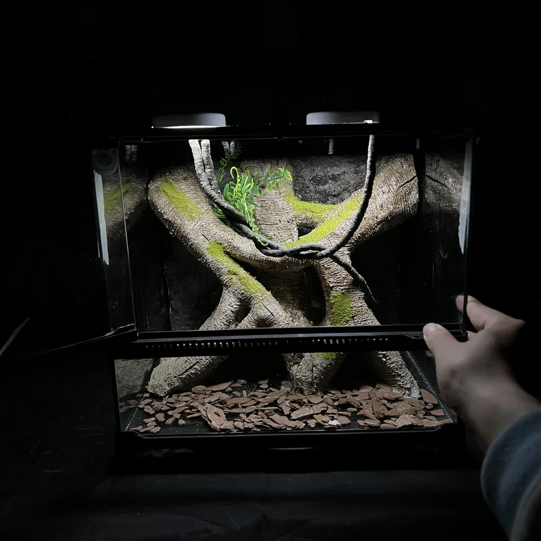 【长30宽25高27】爬宠造景缸睫角守宫树栖睫角饲养箱爬宠爬虫缸