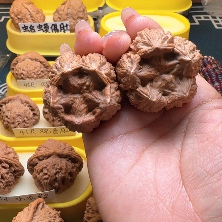 ?****?我们核桃付大人，原来我是文王核桃