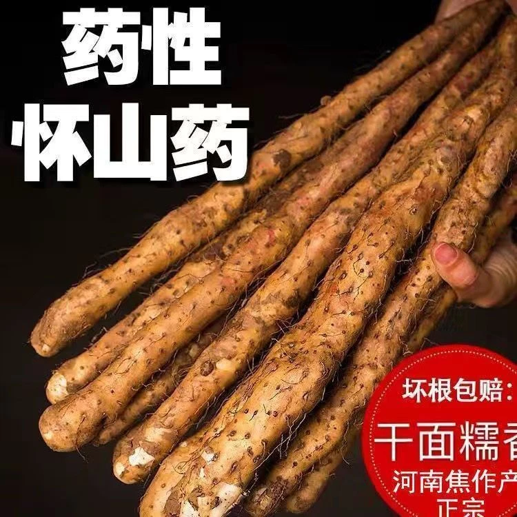 挖断果】新鲜垆土铁棍山药焦作温县原产地香甜粉糯营养健康怀山药