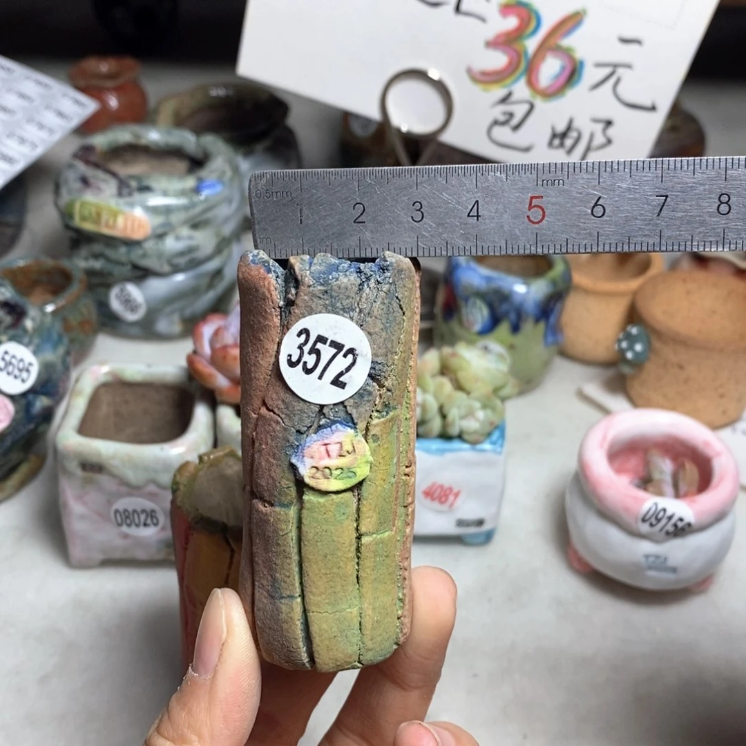 花盆双十二活动不退不换的原28元一个