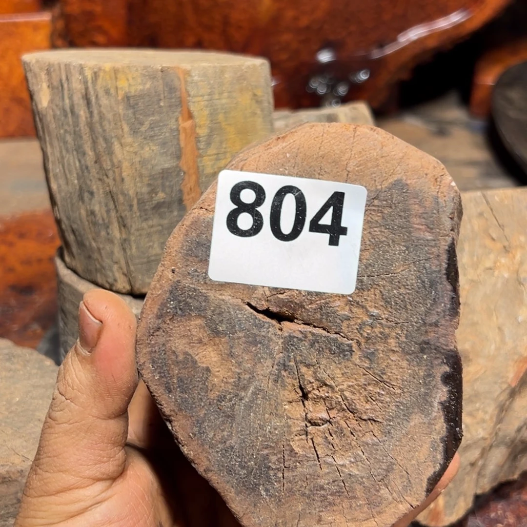 大果紫檀（缅甸花梨）